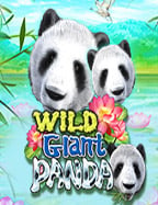 เมื่อ agent.sbobet เข าไม ได ต้องทำอย่างไรดี?